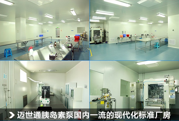 迈世通现代化的额标准厂房